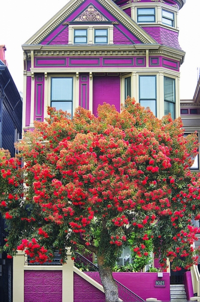 Photograph Mitchell Funk Purple Victorian on One Eyeland